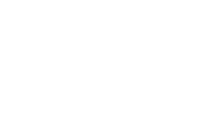 spin_logo_555555