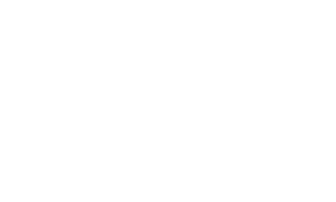 synk_logo_555555